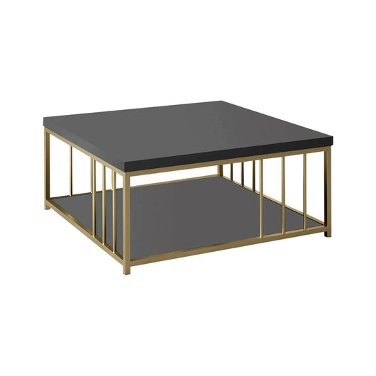 Tavolino da salotto Raiden, Tavolo basso da caffè, Portariviste per divano, Ripiano da soggiorno, 90x90h40 cm, Antracite e Oro