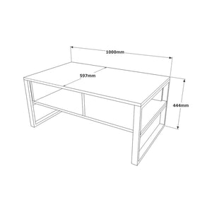 Tavolino da salotto Alfonsa, Tavolo basso da caffè, Portariviste per divano, Ripiano da soggiorno, 100x60h44 cm, Argento