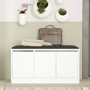 Scarpiera Corniola, Mobile portascarpe, Armadio da ingresso multiuso, Mobiletto per calzature, 90x36h46 cm, Bianco