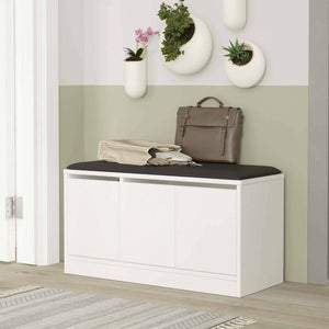 Scarpiera Corniola, Mobile portascarpe, Armadio da ingresso multiuso, Mobiletto per calzature, 90x36h46 cm, Bianco