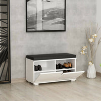 Scarpiera Delphin, Mobile portascarpe, Armadio da ingresso multiuso, Mobiletto per calzature, 80x35 h42 cm, Bianco