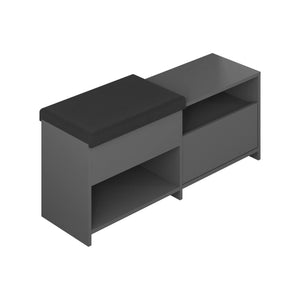 Scarpiera Nuri, Mobile portascarpe, Armadio da ingresso multiuso, Mobiletto per calzature, 120x41 h51 cm, Antracite