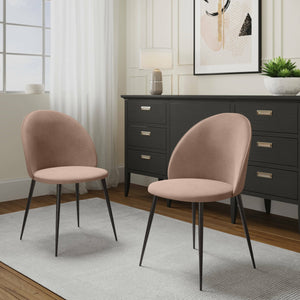 Set di 2 sedie Achito, Poltrona rivestita in velluto, Sedia da pranzo imbottita, Seduta per riunioni, 51x54h82 cm, Tortora