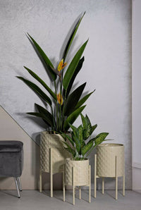 Set di 3 portavasi Cisterna, Complemento d'arredo, Articolo decorativo, Accessorio d'arredo, 36x36 h57 cm, Crema