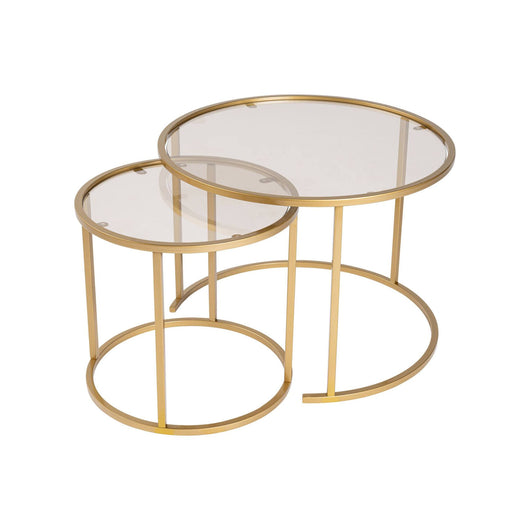 Set di 2 tavolini da salotto Xaden, Tavolo basso da caffè, Portariviste per divano, Ripiano da soggiorno, 60x60 h43 cm, Oro e Bronzo