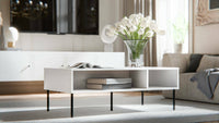 Tavolino da salotto Enemonzo, Con due vani contenitore, Rialzato da terra, 110x60 h40 cm, Bianco