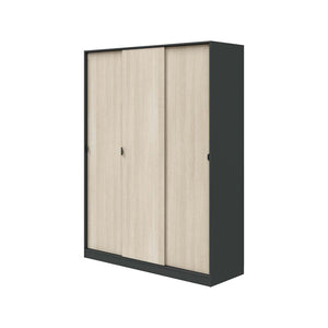 Armadio Camera da Letto Senales, Guardaroba 3 Ante 4 Ripiani, 50x150 cm Grigio Antracite