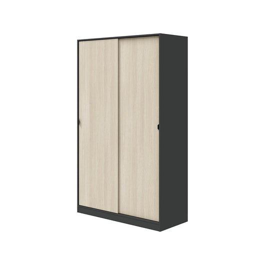 Armadio Camera da Letto Fiora, Guardaroba 2 Ante 4 Ripiani, 50x200h cm Grigio Antracite