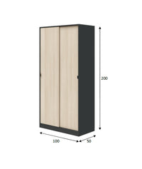 Armadio Camera da Letto Orgosolo, Guardaroba 2 Ante 4 Ripiani, 50x200h cm Grigio Antracite