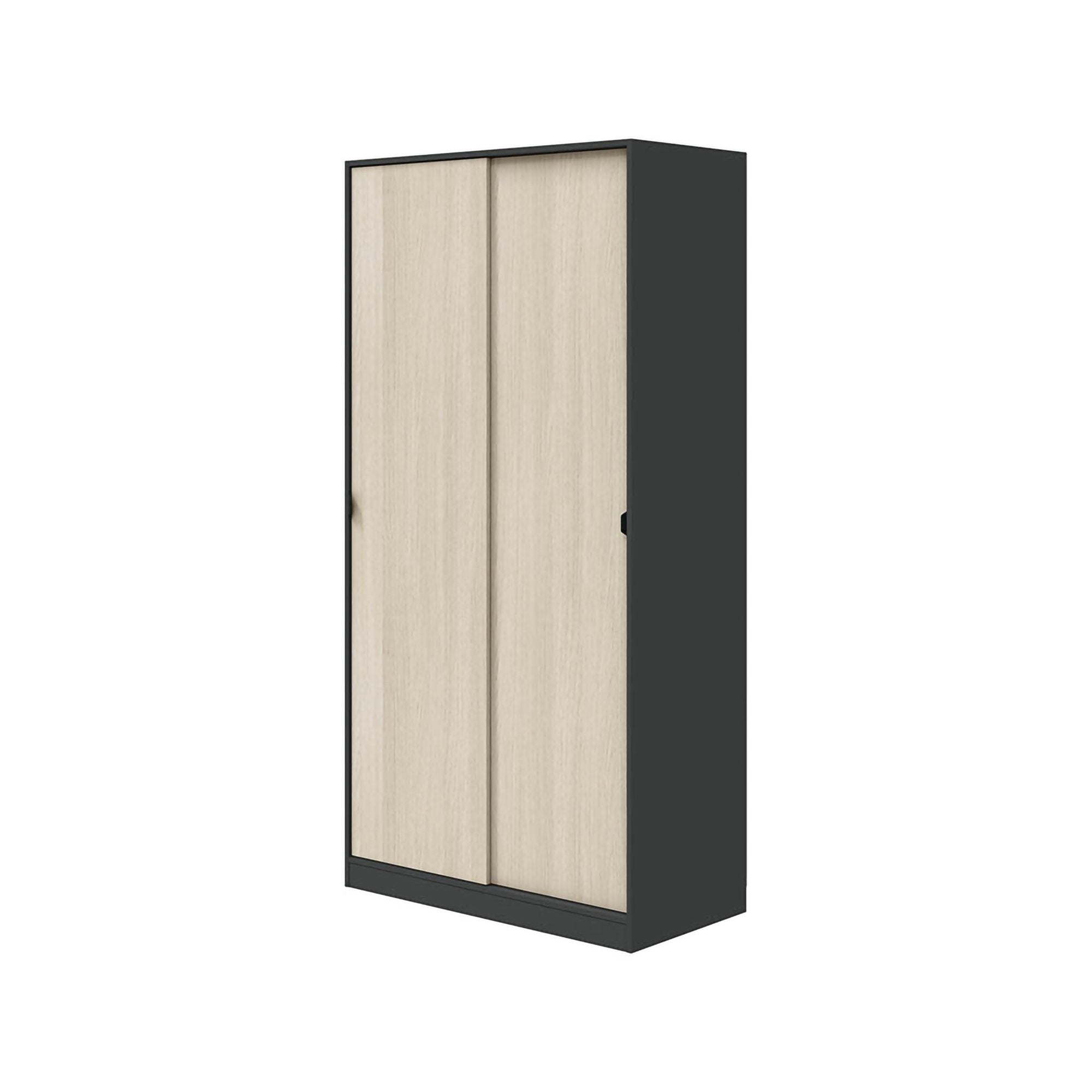 Armadio Camera da Letto Orgosolo, Guardaroba 2 Ante 4 Ripiani, 50x200h cm Grigio Antracite