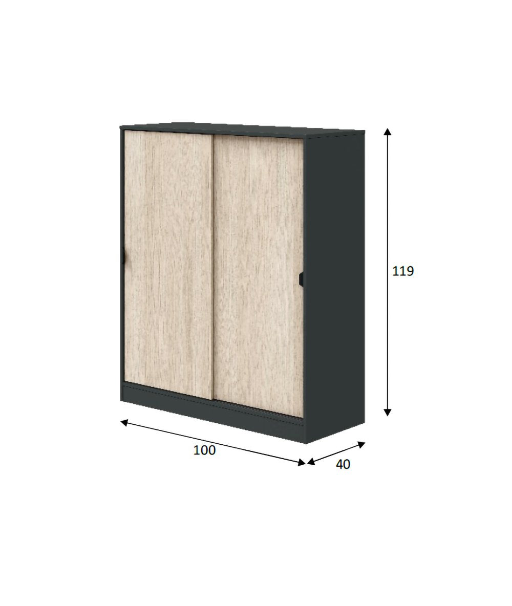 Armadio Camera da Letto Resana, Guardaroba 2 Ante 4 Ripiani, 40x119h cm Grigio Antracite