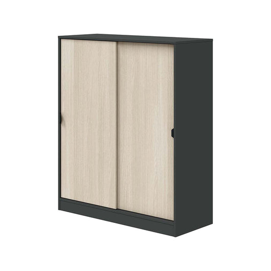 Armadio Camera da Letto Resana, Guardaroba 2 Ante 4 Ripiani, 40x119h cm Grigio Antracite