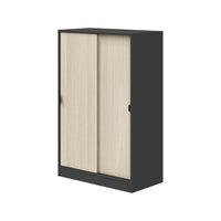 Armadio Camera da Letto Stelvio, Guardaroba 2 Ante 2 Ripiani, 40x119h cm Grigio Antracite