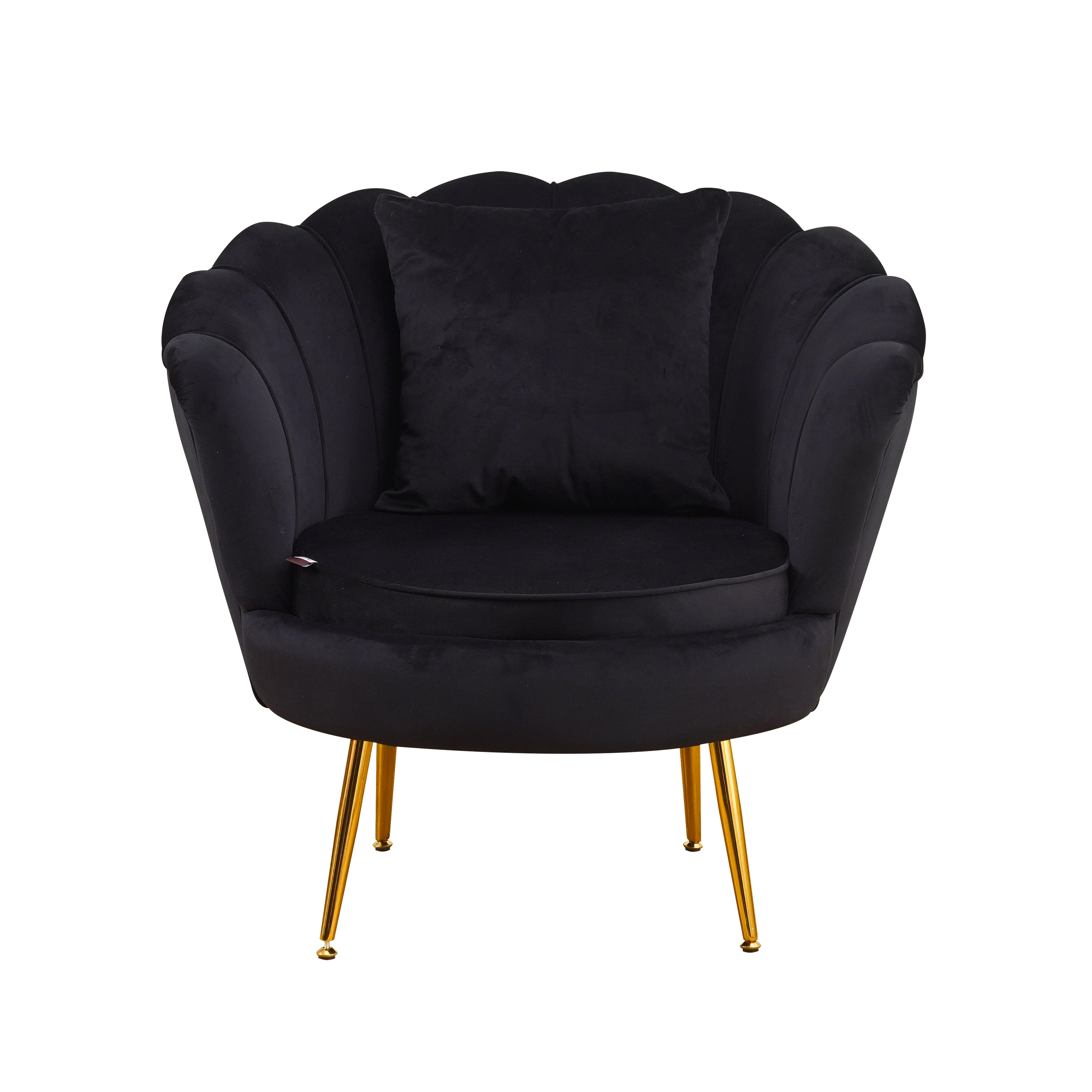 Poltrona Frida Velluto Nero Gambe Oro C/Cuscino