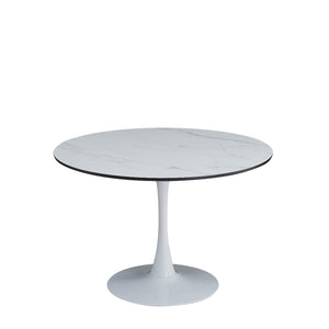 Tavolo Fusion Bianco Dia110/Gamba Nera