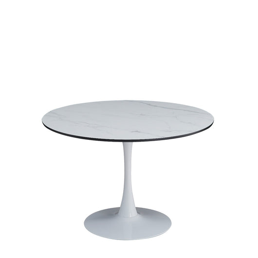 Tavolo Fusion Bianco Dia110/Gamba Nera