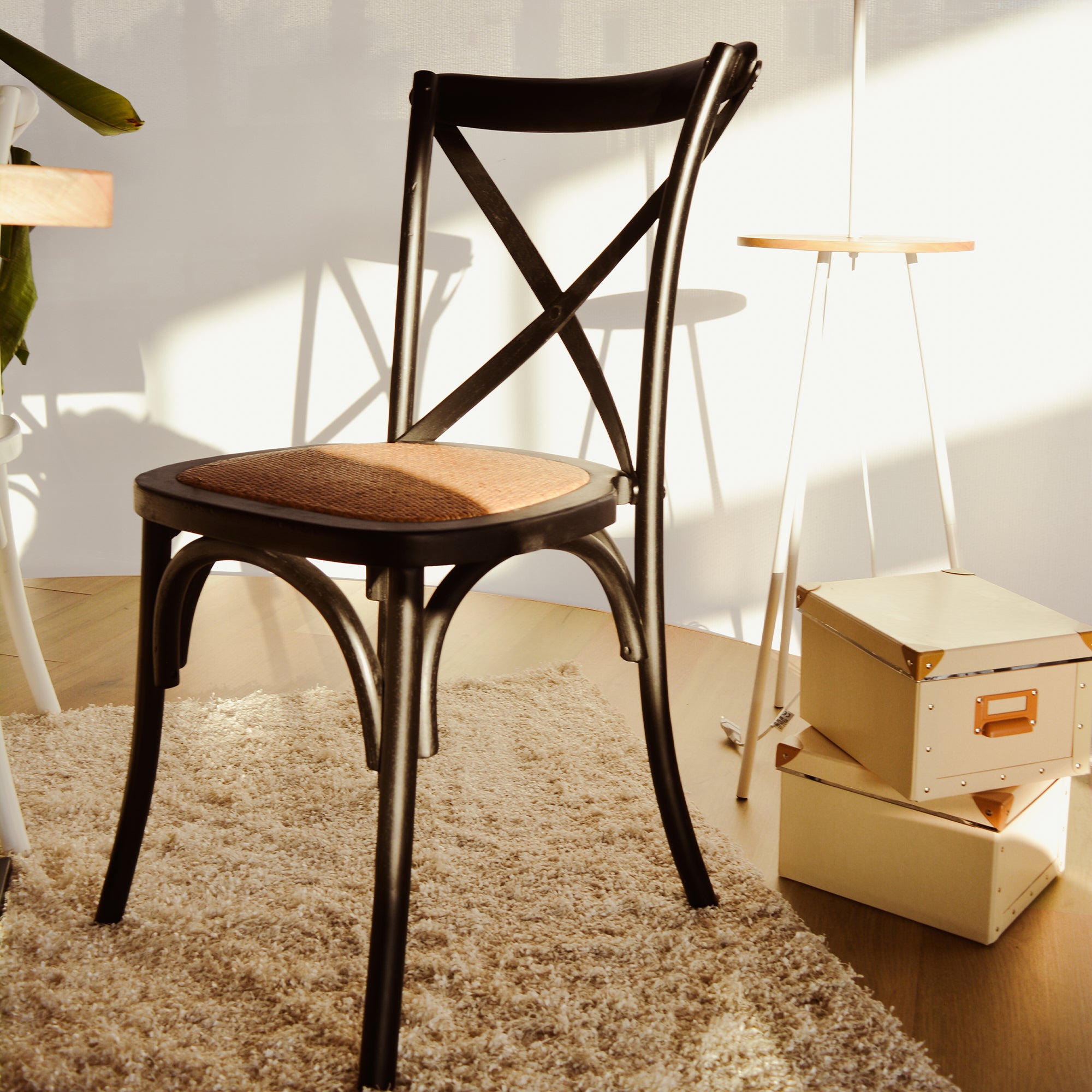 Set Da 4, Sedie Pepita Nera