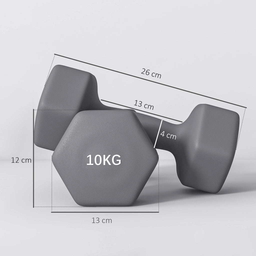 Set 2 Manubri Palestra 10 kg Pesi esagonali per Allenamento Grigio