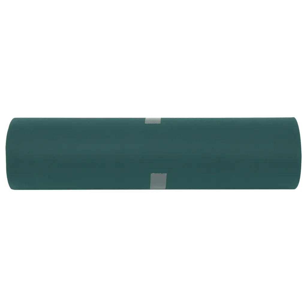 Copertura per Piante 2 Rotoli 70 g/m² 50x1,6 m 3203514