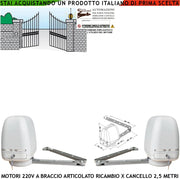 Motori a Braccio Articolato 220 V per Cancello Elettrico 2 Ante da da 0,5 a 2,5 Metri Ricambio Universale 2 Motori Completi Spinta 250 NM Cartello Monitore