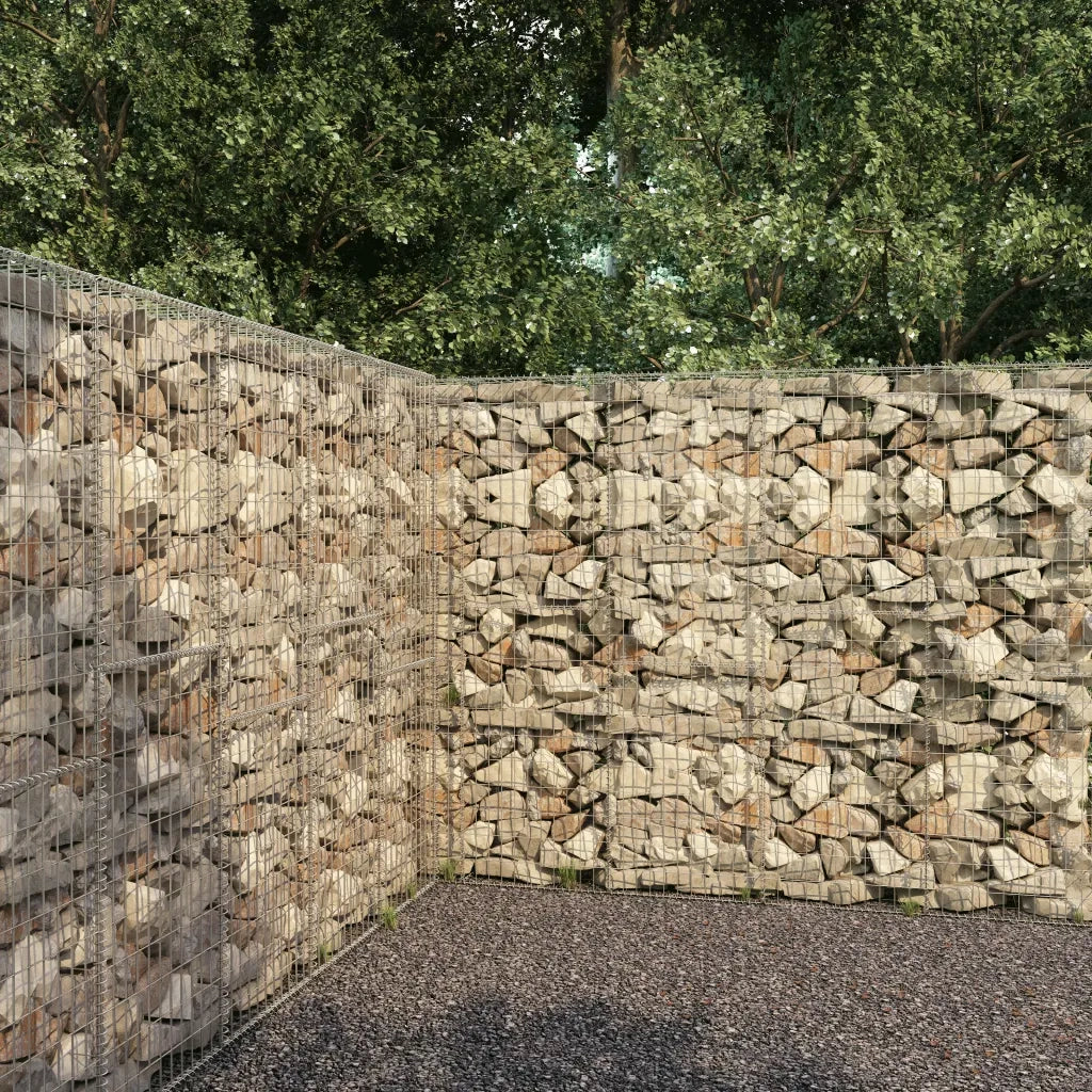 Gabbione con Copertura in Acciaio Zincato 300x50x200 cm cod mxl 62936