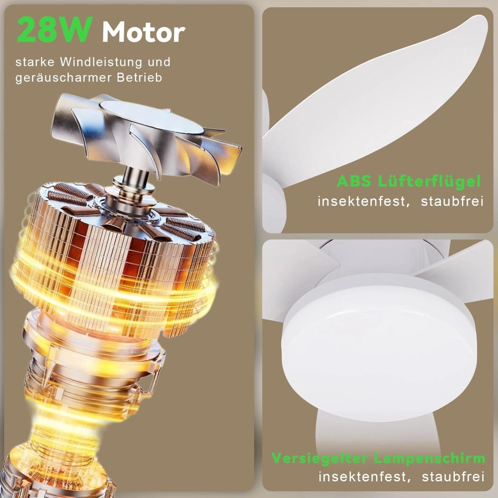 ZMH Ventilatore da Soffitto con Luce 3 Pale Silenziose Bianche Luminosità Regolabile 6 Velocità per Camera da Letto