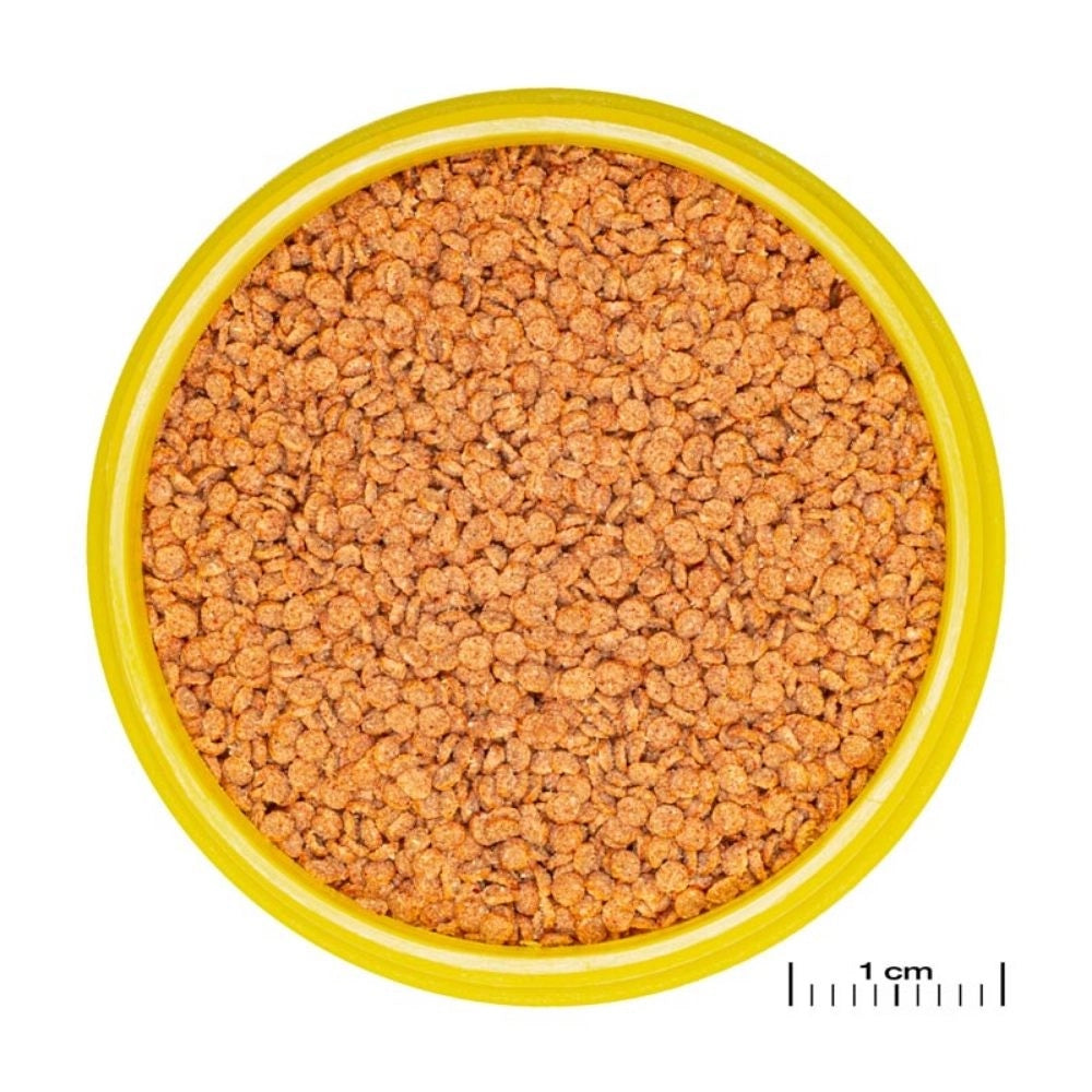 JBL ProNovo Betta Grano S 100ml -  granulato di base per Betta da 3 a 10cm