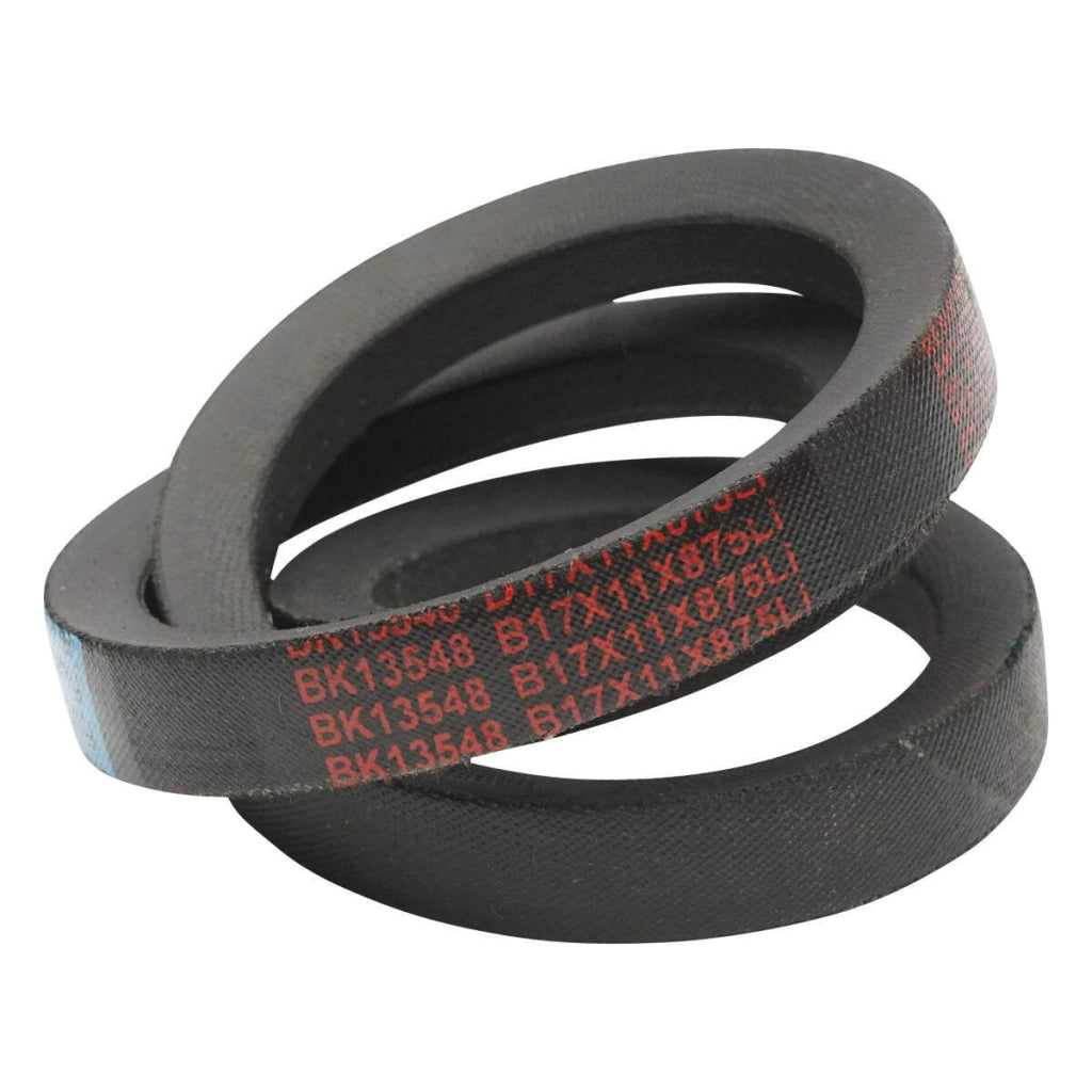 Cinghia di trasmissione B 17X11X875 Li