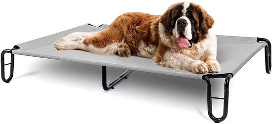 Letto Elevato per Cani, 122 x 83,8 x 20,3 cm, Grande, Grigio