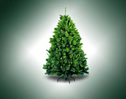 Albero di natale germogliato h 150 cm
