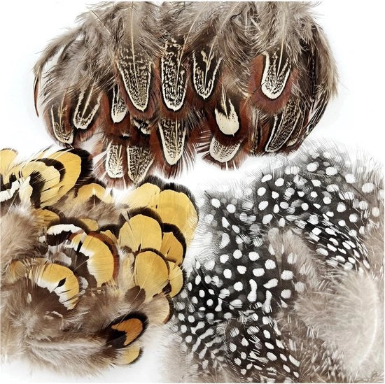 Foglie di Fagiolo 150 pezzi - Foglie Naturali - 3 Stili - Punti Bianchi/Bruni/Gialli - Artigianato - Foglie di Fagiolo Reali - Foglie Decorative