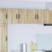 Pannello lavastoviglie 2 pcs Rovere Sonoma 60 x 31 x 40 cm 885270