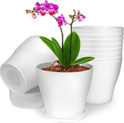 Decorelle 10 Pack Pannelli di Cottura in Plastica Bianca per Piante da Interno - 135 cm con Fori di Drenaggio e Piatti - Pannelli Decorativi per Piante da Interno e Succulente
