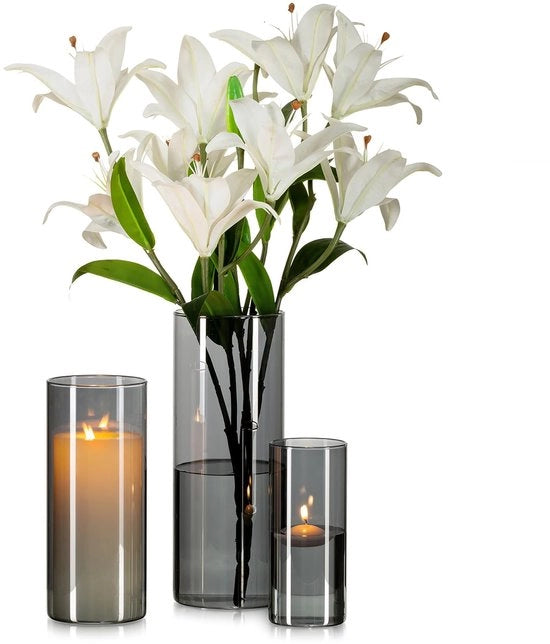 Set di 3 Vasi in Vetro Cilindrici a forma Ronda per Decorazione della Tavola da Caffè: Vasi in Vetro Antracite Grandi per Tulipani, Rose e Vasi Cilindrici per Luminarie a Cera (15/20/25cm)