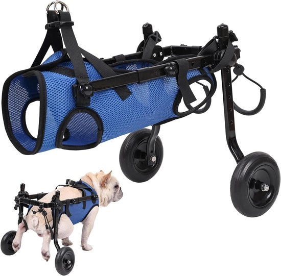 Sedia a rotelle per piccoli animali domestici con paralisi delle gambe posteriori, adattabile