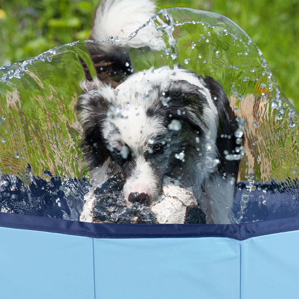 Piscina per Cani Pieghevole con Fondo Antiscivolo Vasca Animali Domestici 80 Ø