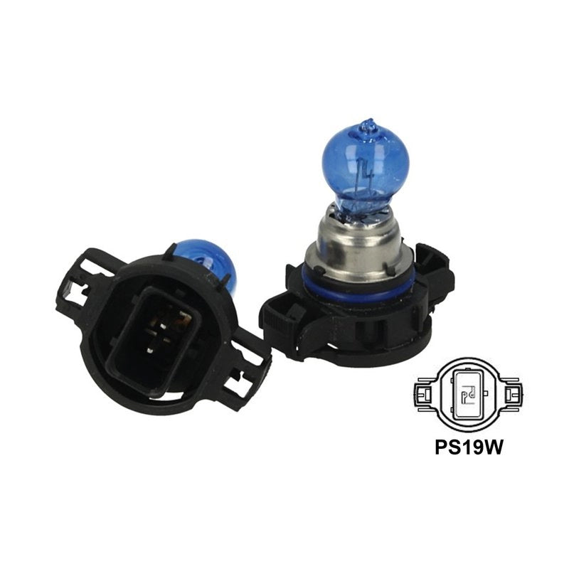 Coppia 2 Lampade PS19W 12V 19W Super White Xenon Bianco