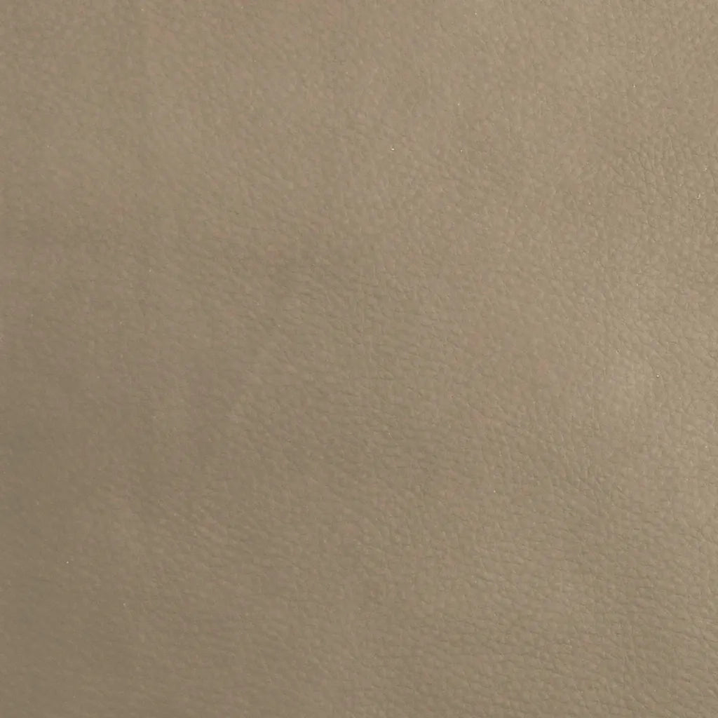 Divano Letto a 2 Posti Cappuccino in Similpelle 375950