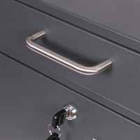 Cassetta delle lettere 2x3 V52 antracite a muro Con serrature e targhette nome Posta