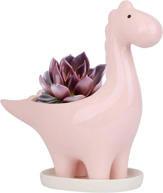 Vaso Ceramico Dinosaurio per Cactus e Piante Grasse - Design Unico per Casa e Giardino