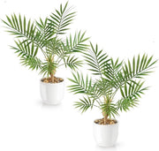 Set di palme artificiali da 2 pezzi 35 cm - vasi ceramici bianchi - piante artificiali per interni - piante di palma artificiali - fiori decorativi artificiali