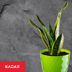 Vaso da fiori KADAX, coprivaso, 25 cm, supporto per fiori, plastica verde, 3 pezzi.