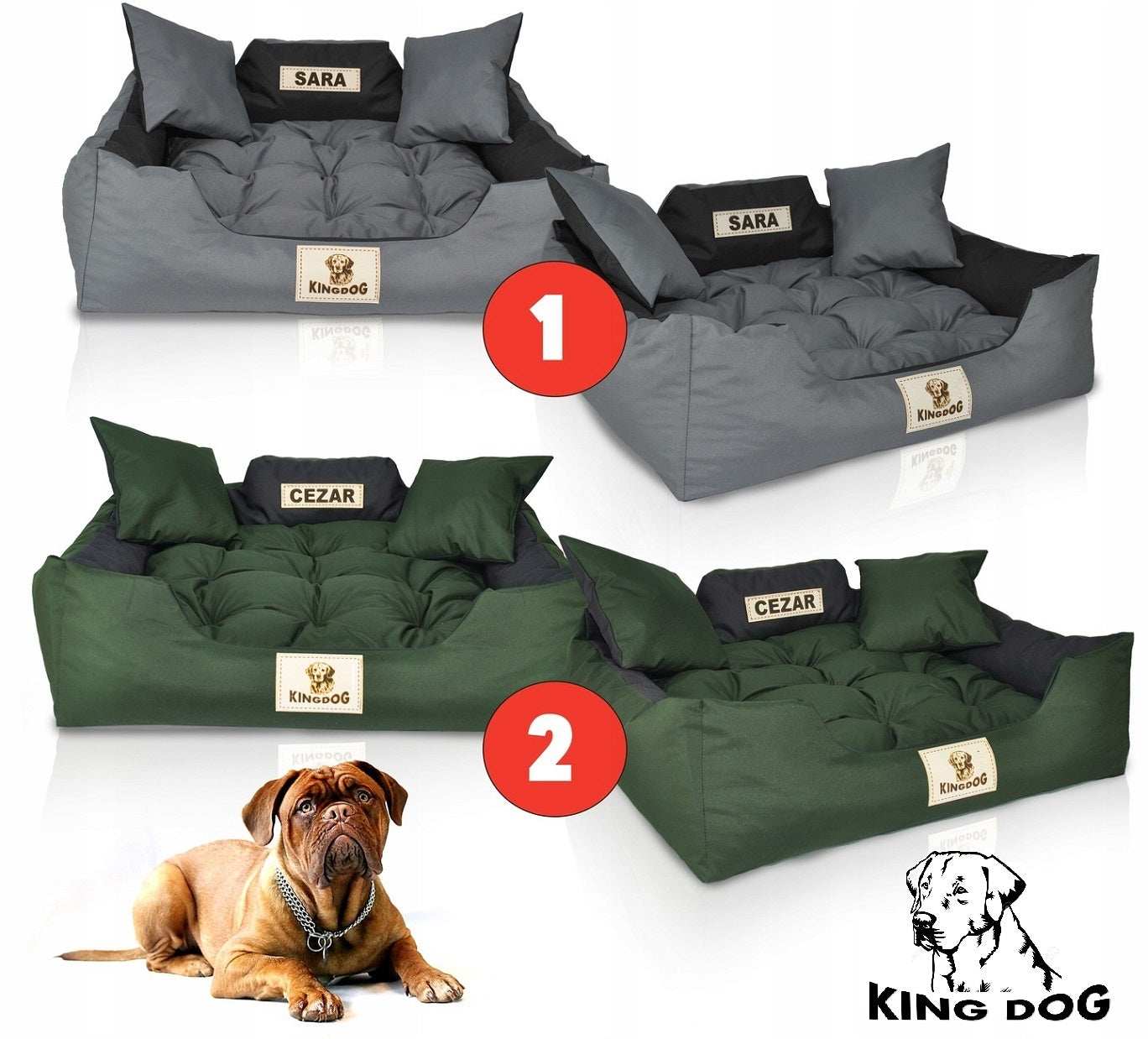 AIO FACTORY 100x75 cm KINGDOG Cuccia per cani impermeabile personalizzabile Marrone