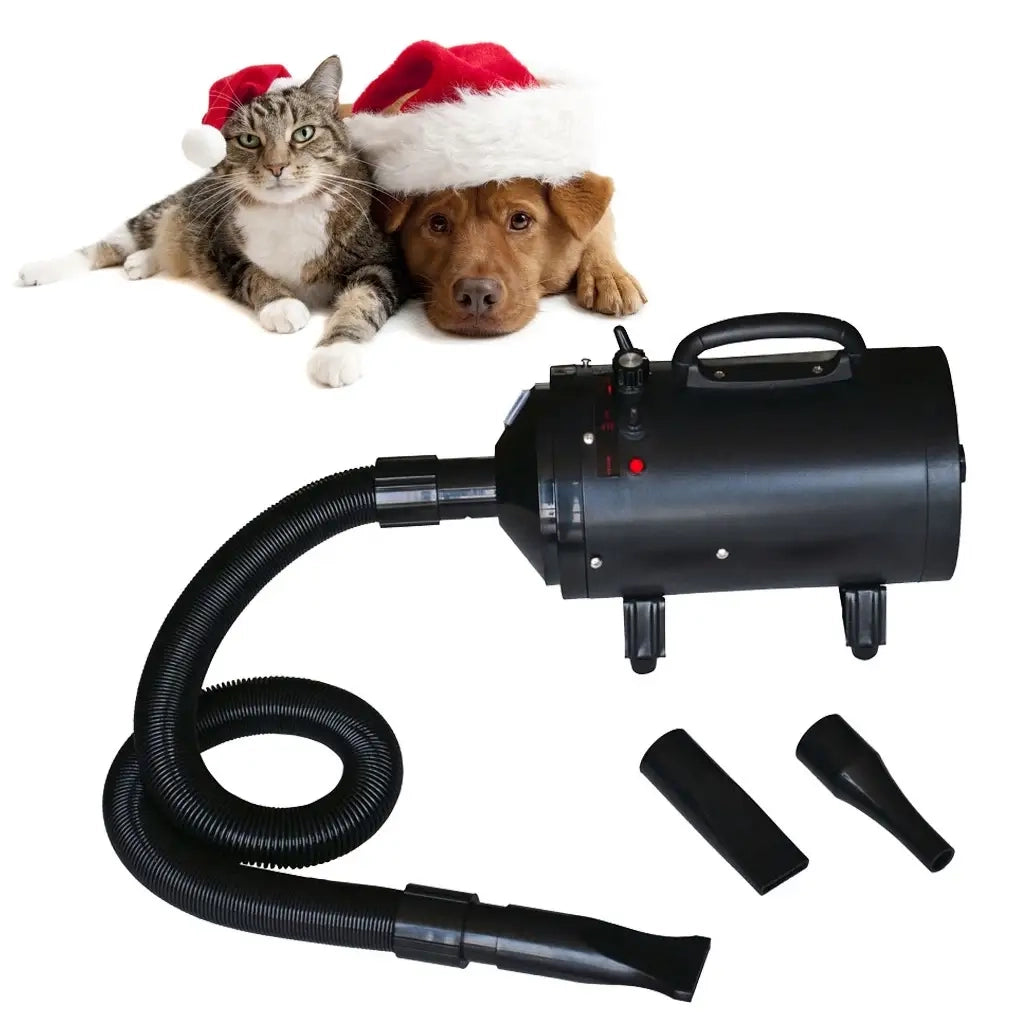 Phon per Cani con 3 Ugelli Nero 2400 W 170044