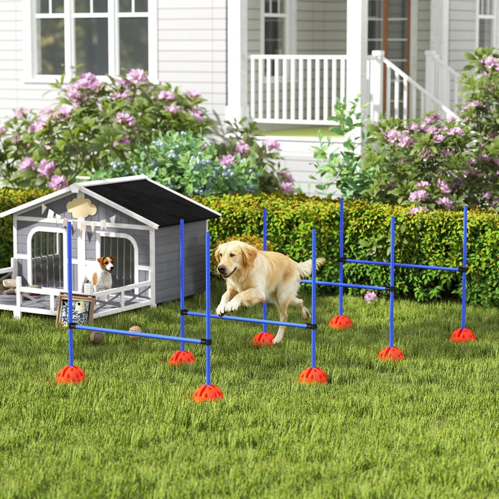 Set Agility per Cani 4 Pezzi ¨C Xylo ¨C con 4 Ostacoli e Borsa da Trasporto, Blu