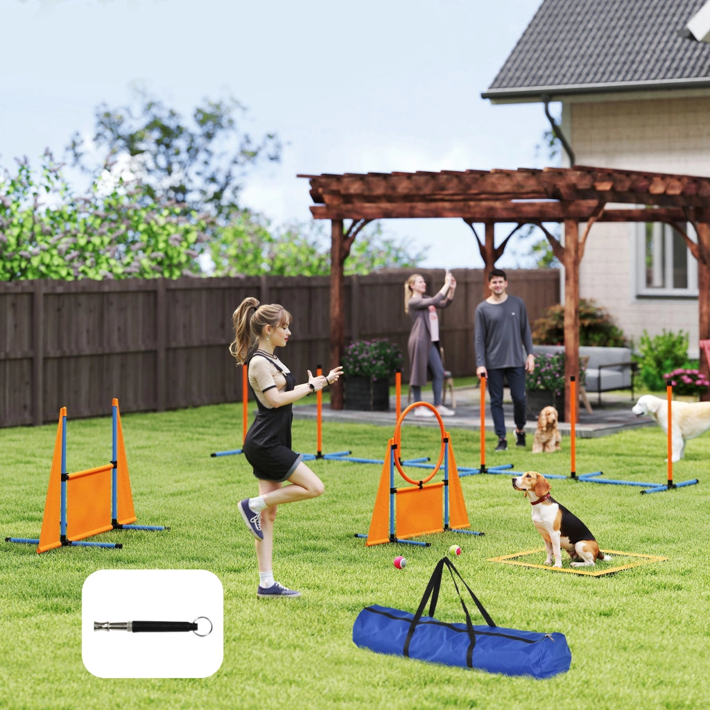 Kit Agility per Cani 6 Pezzi ¨C zephmum ¨C con Salti, Slalom, Pausa e Palline