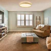 ZMH Lampada da soffitto plafoniera LED Starry Sky 40cm dimmerabile telecomando