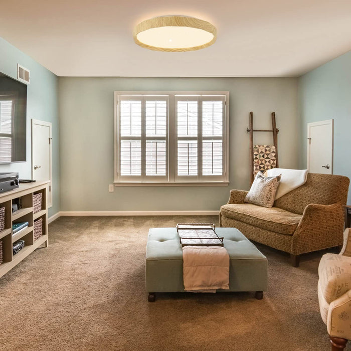 ZMH Lampada da soffitto plafoniera LED Starry Sky 40cm dimmerabile telecomando