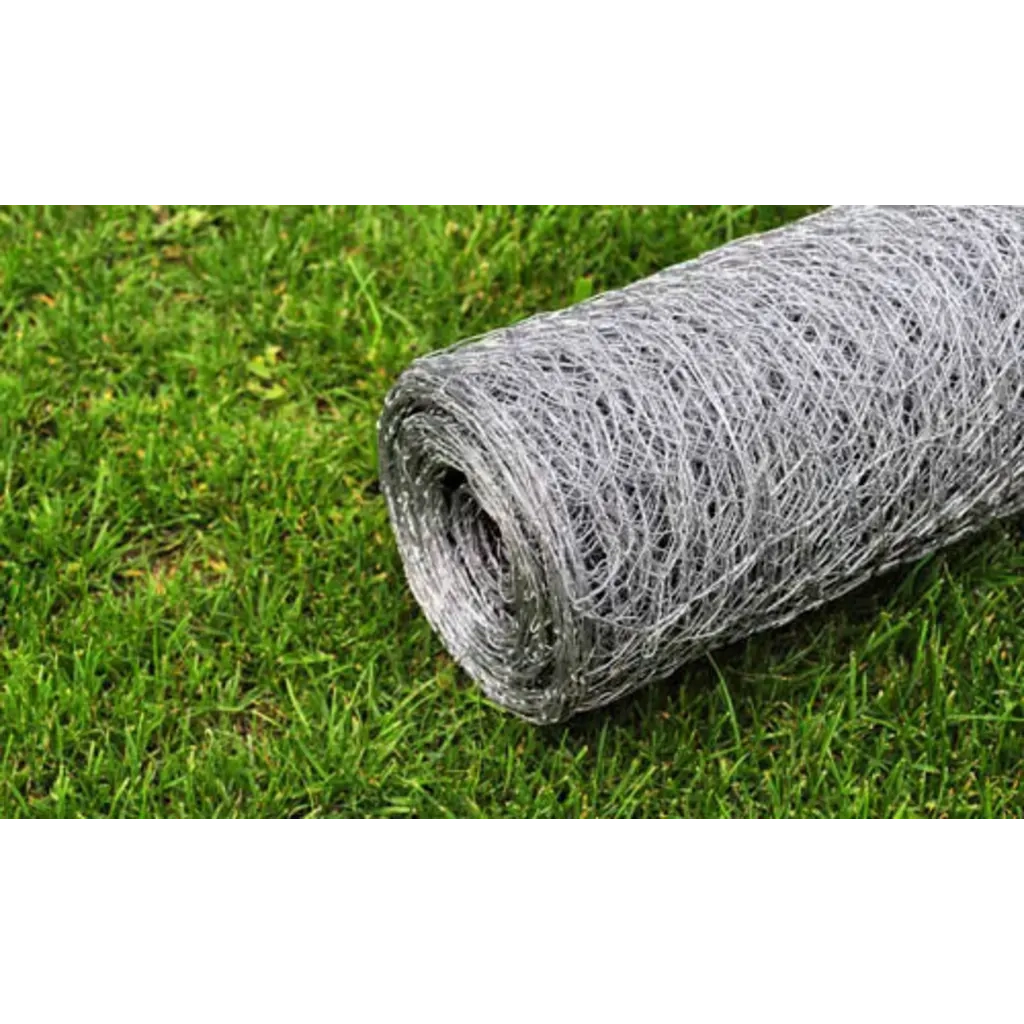Recinzione in Rete per Pollaio Acciaio Zincato 25x1 m Argento 140423