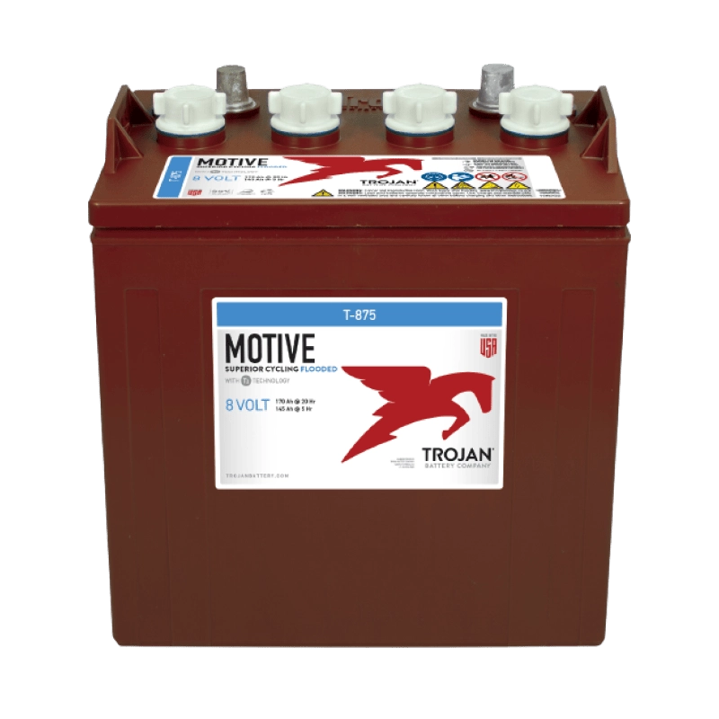 Batteria al Piombo 8V 170Ah Trojan Motive T875